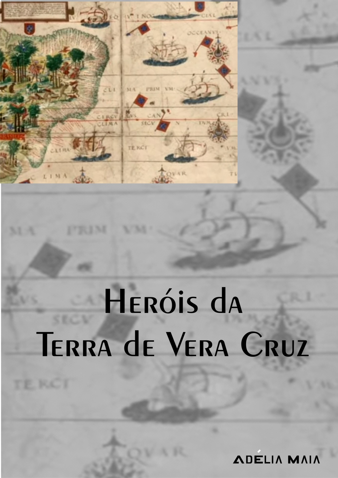 Heróis da Terra de Vera Cruz